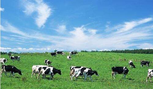 农业部：2025年主要畜种核心种源自给率要达70%