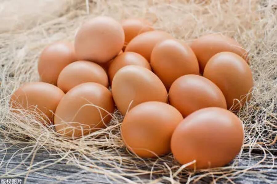 首个地方政府支持的鸡蛋价格保险项目落地